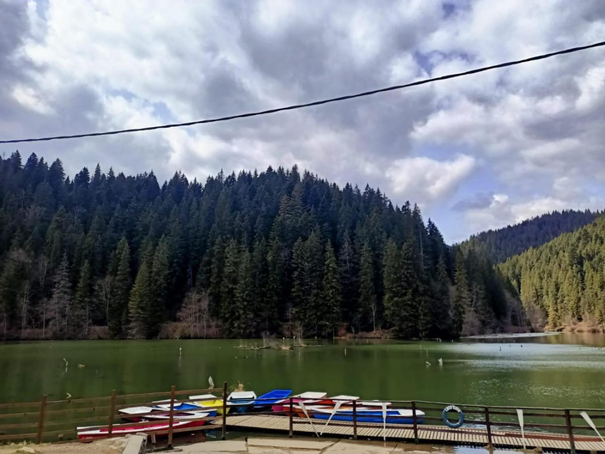 Pensiunea Aurelia Bicaz Chei Exterior photo