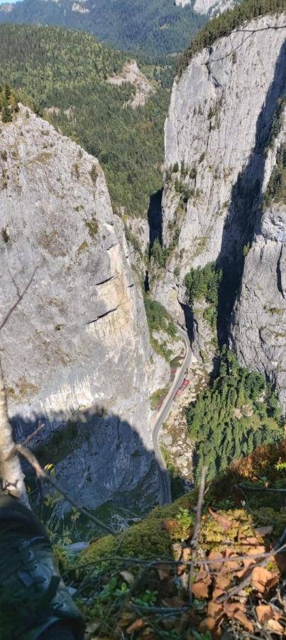 Pensiunea Aurelia Bicaz Chei Exterior photo